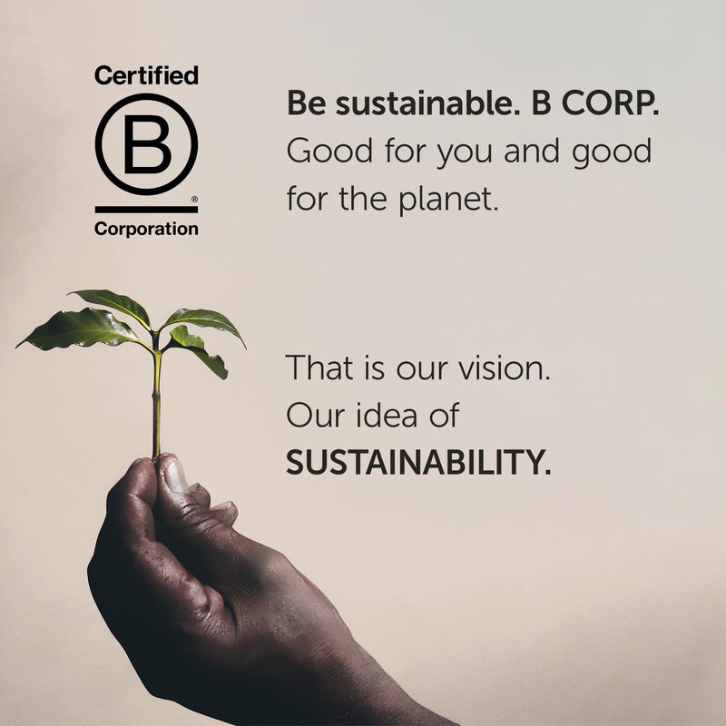 Illy Classico Whole Bean Coffee, Medium Roast, Classic Roast With Notes Of Caramel, Orange Blossom And Jasmine, 100% Arabica Coffee, No Preservatives, 8.8 Ounce Can (Pack Of 1) - Image 5