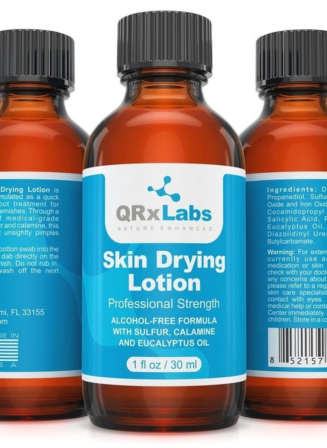QRxLabs - Drying Lotion - Alcohol-Free Overnight Acne & Whitehead Spot Treatment – Fights Blemishes, Pimples & Breakouts for a Clear Skin – Fast Acting Formula with Sulfur & Salicylic Acid - 1 fl oz - Image 1