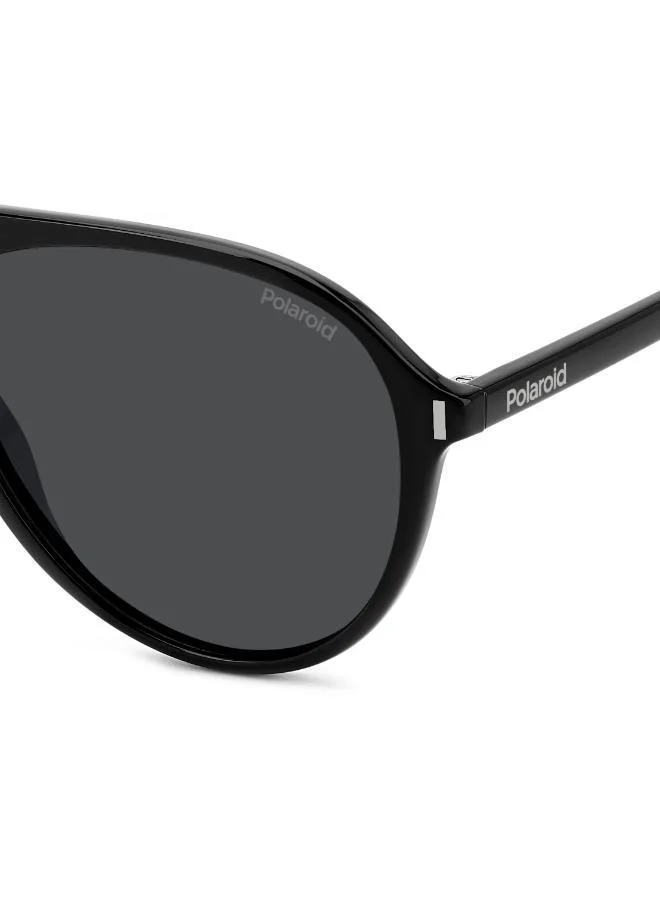 Polaroid  Oval Sunglasses for Men | Best Price UAE