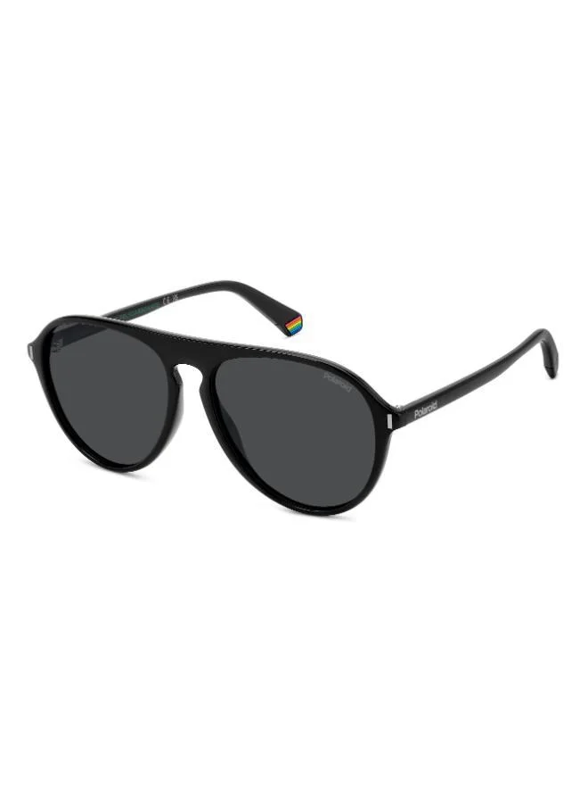 Polaroid  Oval Sunglasses for Men | Best Price UAE