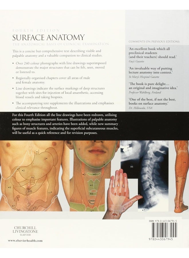 Surface Anatomy - Image 2