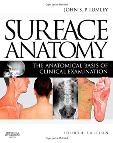 Surface Anatomy - Image 1