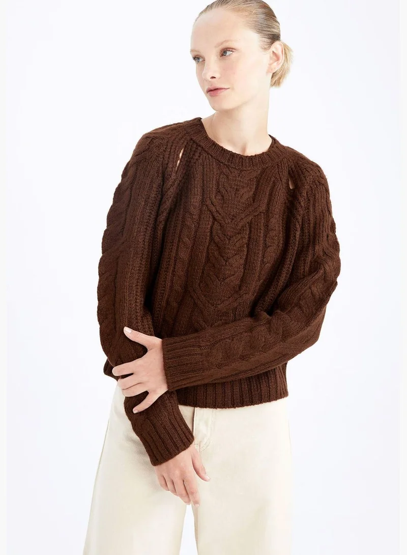 DeFacto Woman Crew Neck Long Sleeve Tricot Pullover