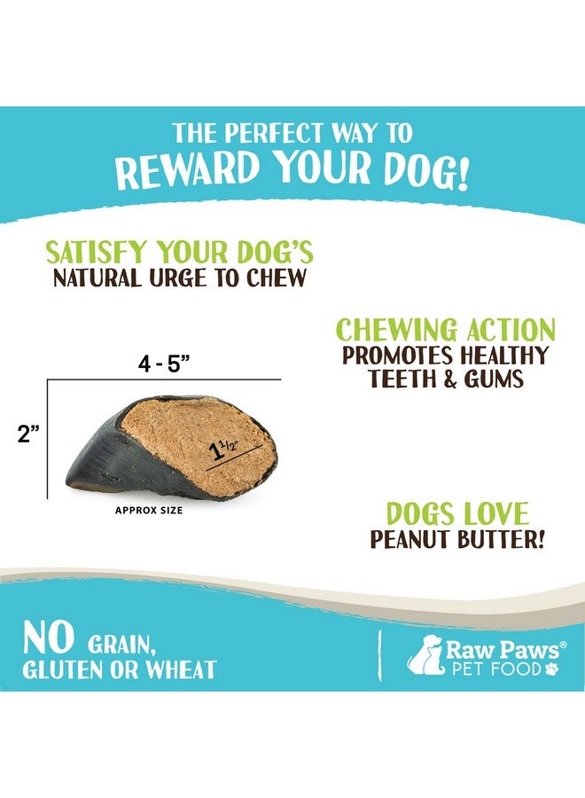Raw Paws Filled Cow Hooves for Dogs - Peanut Butter Flavor, 5-Pack, Natural Beef, Free Range Cow Hooves - Peanut Butter for Dogs - Stuffed Cow Hoof Dog Chews - Image 3