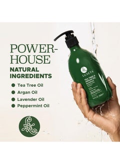 L LUSETA Luseta Tea Tree Shampoo with Argan Oil 16.9 Fl oz- Clarifying,Hydrating and Fighting Dandruff and Itchy Scalp - For Damaged and Oil Hair - Sulfate and Paraben Free for Men and Women  - Image 5