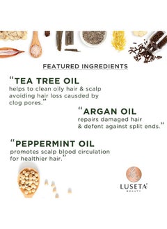 L LUSETA Luseta Tea Tree Shampoo with Argan Oil 16.9 Fl oz- Clarifying,Hydrating and Fighting Dandruff and Itchy Scalp - For Damaged and Oil Hair - Sulfate and Paraben Free for Men and Women  - Image 2