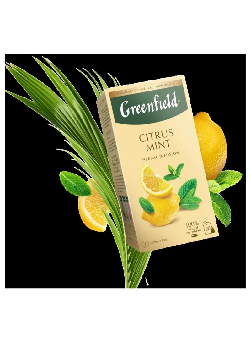 Greenfield Citrus Mint Herbal Infusion Tea 20 Tea Bags 30 Gm - Image 2