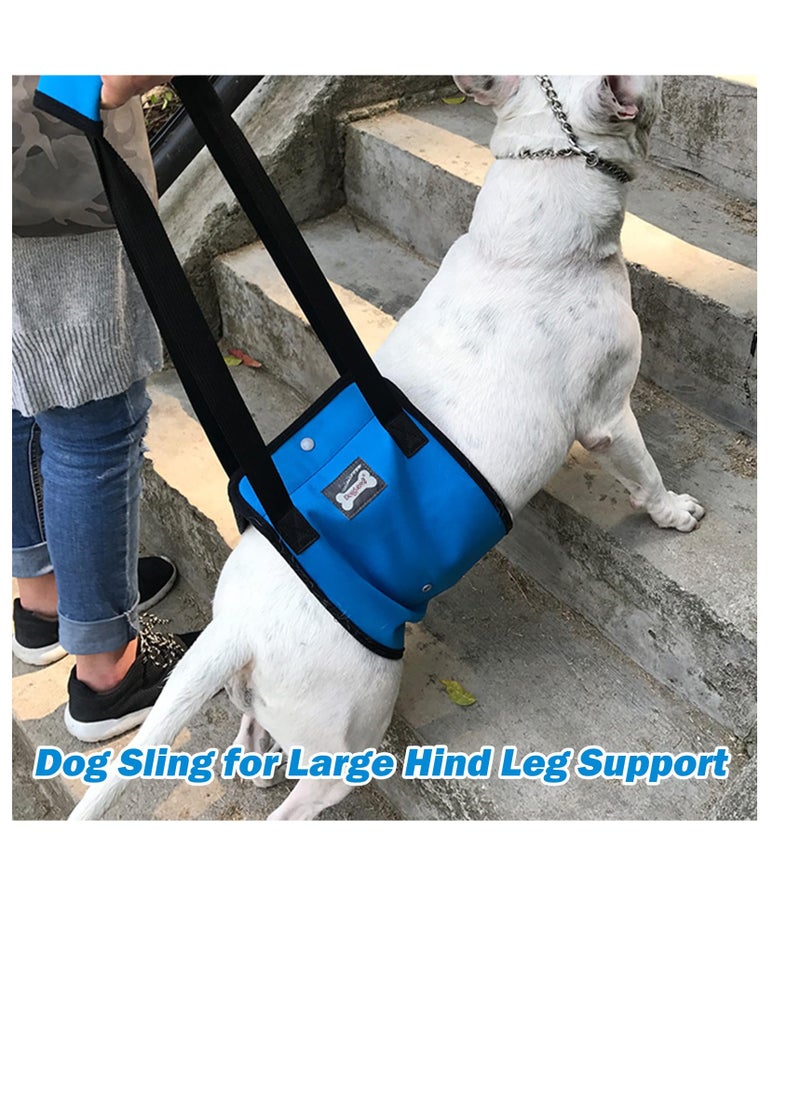 Excefore - Dog Sling for Large Dogs, Hind Leg Support, Dog Lift Harness with Handle for Lifting Back Legs for Weak Rear Legs, Soft Hind Leg Helps Senior, Injured, Disabled & After ACL Surgery, Blue, L - Image 1