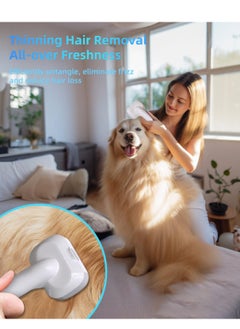 OTTAL All-in-One Dog Grooming Kit & 2L Vacuum Suction 99% Pet Hair with Nail Grinder, Hair Trimming & Combing, Low Noise, 3-Speed Suction, 5 Proven Grooming Tools, Low Noise Home Cleaning Tool  - Image 3