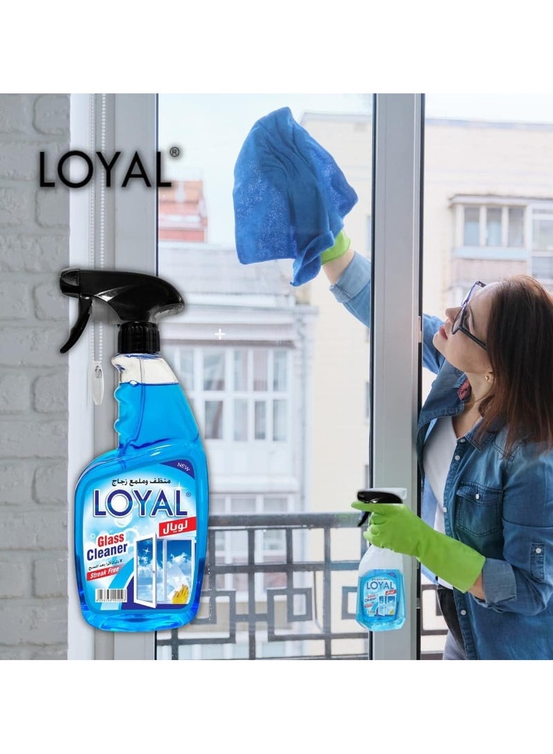 Loyal Streak Free Glass Cleaner 750 ml - Image 3