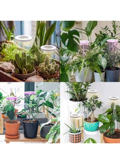 CMGTYYD Grow Light for Indoor Plants, Height Adjustable Grow Light With Auto On/Off Timer 3/9/12H,3 Colors,5 Dimmable Brightness Ideal For Small Plants  - Image 4