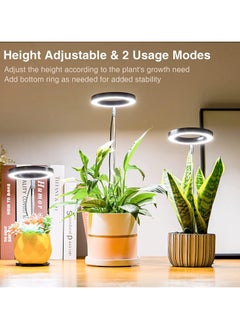 CMGTYYD Grow Light for Indoor Plants, Height Adjustable Grow Light With Auto On/Off Timer 3/9/12H,3 Colors,5 Dimmable Brightness Ideal For Small Plants  - Image 3