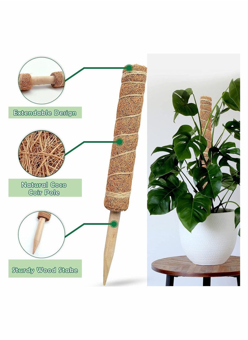 كاست ويف عمود الطحلب - 26 بوصة قطب موس للنباتات Monstera ، عبوتان 15.4 بوصة عمود نبات كوكو  - Image 3
