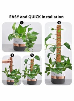 KASTWAVE Moss Pole - 26 Inch Moss Pole for Plants Monstera, 2 Pack 15.4 Inches Coco Plant Pole  - Image 5