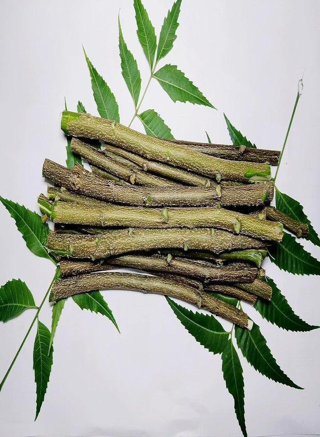 Sunshine Enterprise Ayurvedic Natural Organic Neem Datun, manual Toothbrush Nim Tree Twigs Chew Sticks for Brushing Teeth Removes Bad Breath, Relieve Tooth Ache (9 inch)- for adults,Pack of 20 Pieces - Image 1