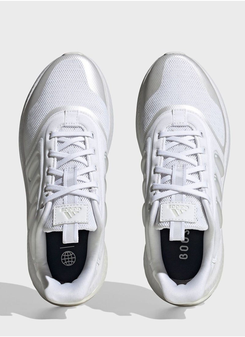 Adidas - X_Plrphase Shoes - Image 1