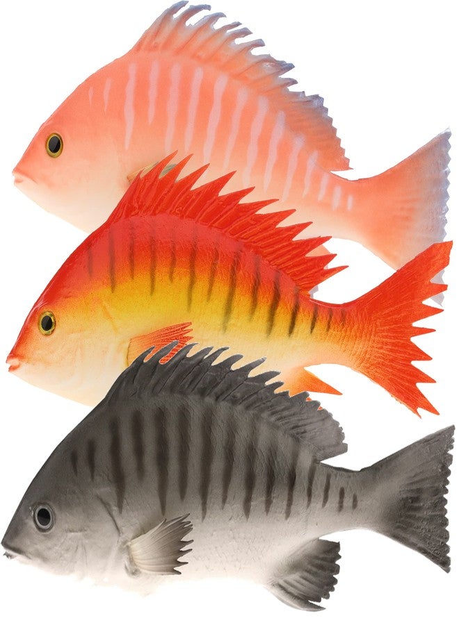 Gresorth 3 PCS Fake Striped Bass Fish Decoration Artificial Sea Creatures Snapper Model Realistic Marine Animal Ornament Lifelike Hanging Pretend Food Toy Home Party Kitchen Christmas - Image 1