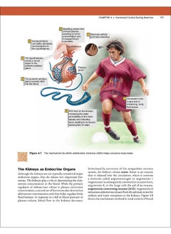 Physiology of Sport and Exercise  - Image 1