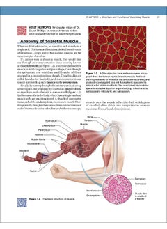 Physiology of Sport and Exercise  - Image 2