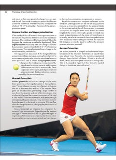 Physiology of Sport and Exercise  - Image 5