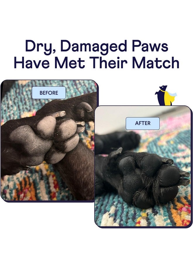 فين Paw Hero | بلسم طبيعي منشط لمخالب الكلاب | يحمي ويغذي ويصلح مخالب الكلاب من الرصيف والجفاف ومغامرات الربيع - 1.75 أونصة - Image 2