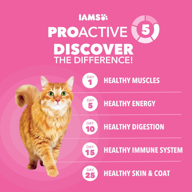 IAMS Proactive Health Sensitive Digestion & Skin Dry Cat Food, Adult Cat Food Dry Recipe with Real Turkey, 3 lb. Bag - Image 5