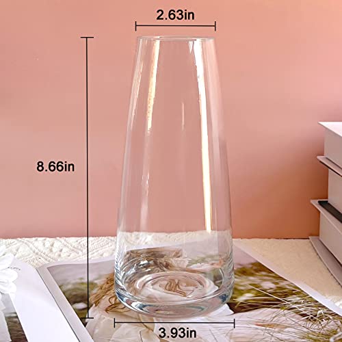 Aoderun Glass Vase for Flowers Modern Vases Home Decor Unique Flower Vase for Bouquet 8.7" Centerpiece Vase Decor Room,Bedroom,Living Room,Library,Office,Table,Entryway,Modern Farmhouse(Clear) - Image 4