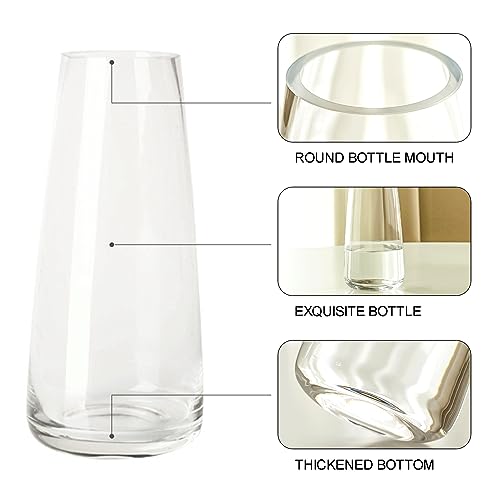 Aoderun Glass Vase for Flowers Modern Vases Home Decor Unique Flower Vase for Bouquet 8.7" Centerpiece Vase Decor Room,Bedroom,Living Room,Library,Office,Table,Entryway,Modern Farmhouse(Clear) - Image 5