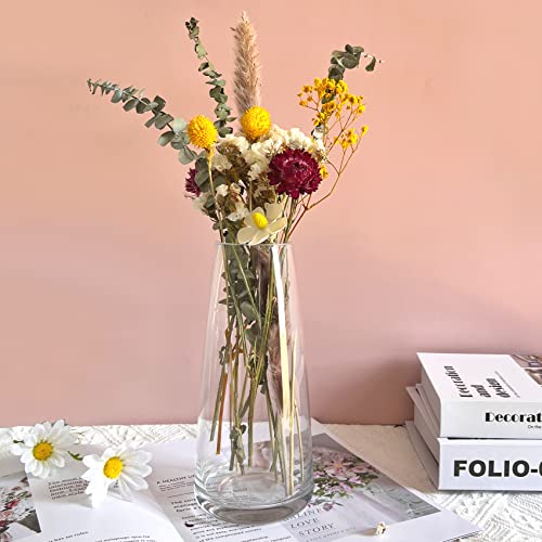 Aoderun Glass Vase for Flowers Modern Vases Home Decor Unique Flower Vase for Bouquet 8.7" Centerpiece Vase Decor Room,Bedroom,Living Room,Library,Office,Table,Entryway,Modern Farmhouse(Clear) - Image 3