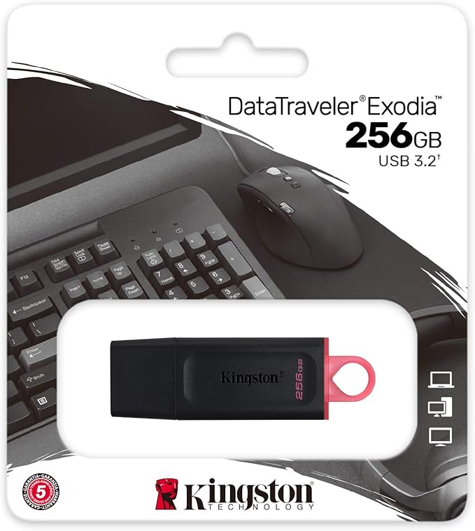فلاش ميموري كينجستون, 256 جيجابايت, DTX/256GB ,USB - اسود