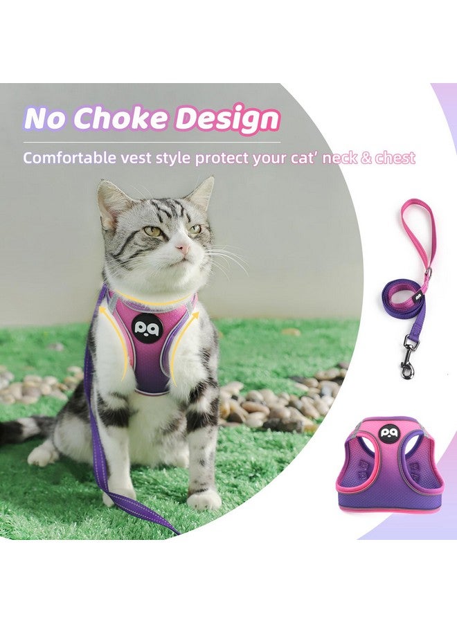 كيوكيو بيتس مجموعة حزام ومقود للقطط من QQPETS للمشي ومقاومة للهروب، سترة آمنة قابلة للتعديل للقطط مع شرائط عاكسة، سهلة التحكم، سترة خفيفة الوزن من شبكة ناعمة... - Image 2