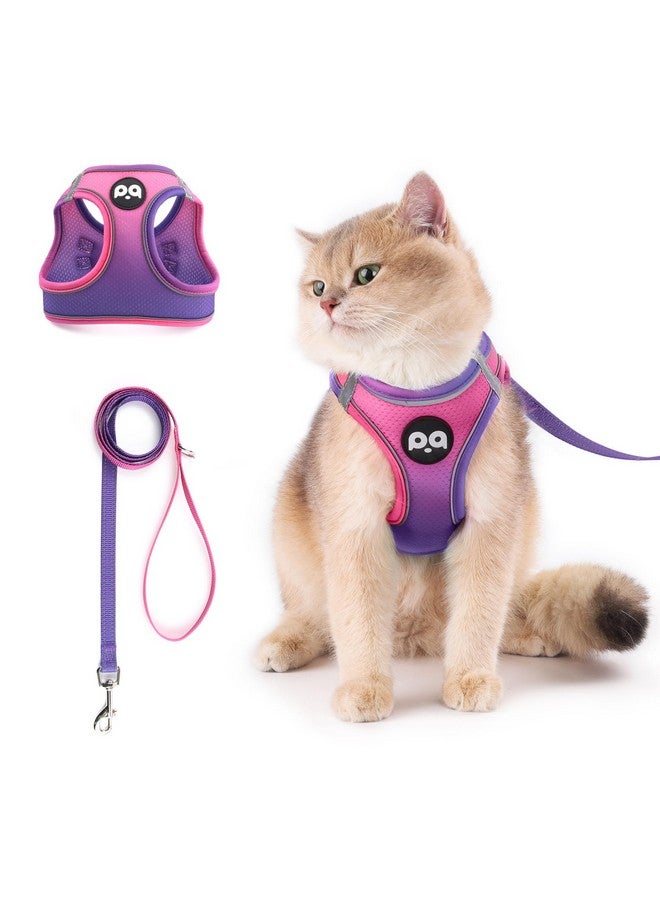 كيوكيو بيتس مجموعة حزام ومقود للقطط من QQPETS للمشي ومقاومة للهروب، سترة آمنة قابلة للتعديل للقطط مع شرائط عاكسة، سهلة التحكم، سترة خفيفة الوزن من شبكة ناعمة... - Image 1