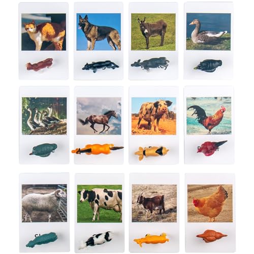 MEROCO Montessori Animal Match Cards Miniature Poultry Animals with Matching Cards 2 Part Montessori Learning Toy Language Materials TZX106 - Image 5