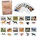 MEROCO Montessori Animal Match Cards Miniature Poultry Animals with Matching Cards 2 Part Montessori Learning Toy Language Materials TZX106 - Image 2