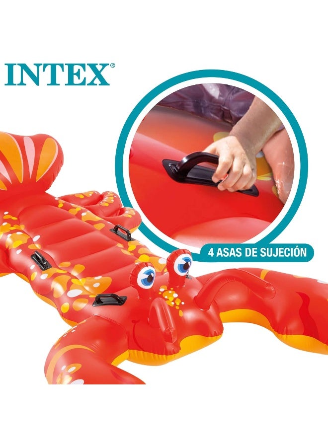 Intex Lobster Ride on - Image 3