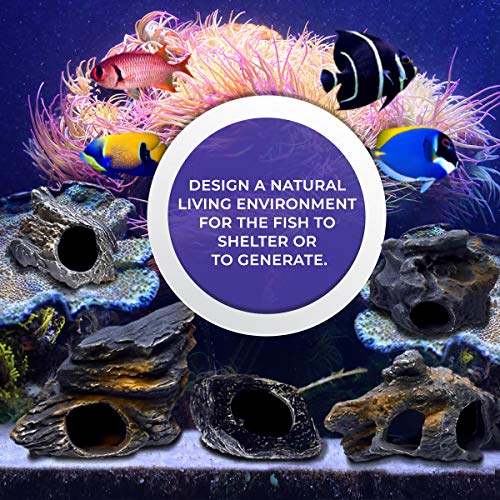 Dr Miracle's CORISRX BEST OF YOUR LIFESTYLE DR. Moss Cichlid Stone 5 pc Luxury Set - Ceramic Rock Cave Aquarium Decorations - Fish Tank Decor - Image 2