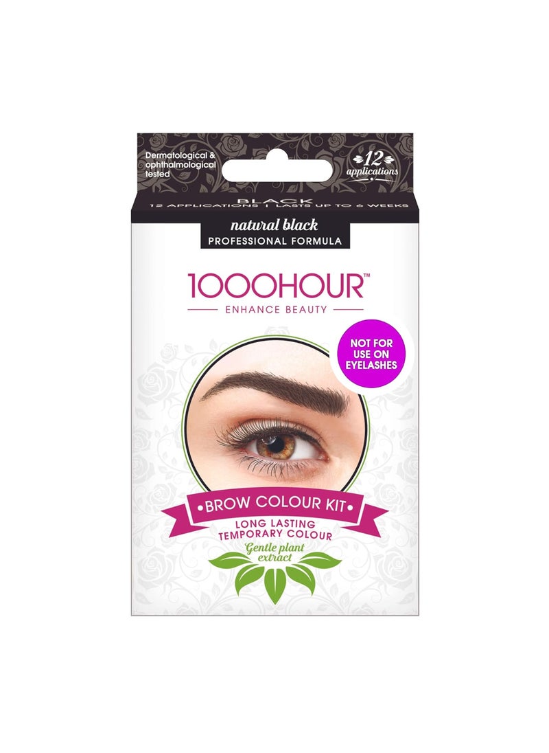 1000Hour 1000 Hour Professional Formula Brow Color Kit  Defined Brows with a LongLasting Formula with Eyebrow Mascara  Brow Gel for Stunning Brows that Last Up To 6 Weeks w 12 Applications  Natural Black 