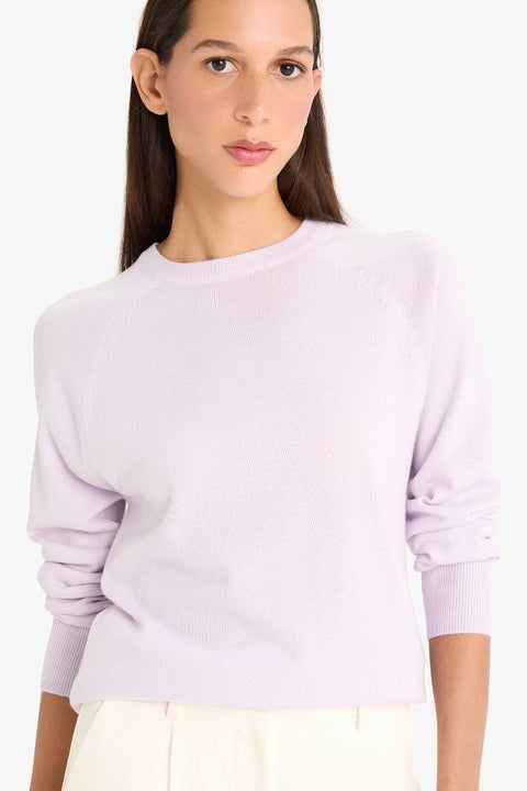Purple Woman Relax Fit Crew Neck Basic Knit Pullover Casual
