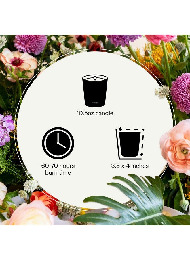 Apotheke Luxury Scented Candles for Home, Sea Salt Grapefruit - Aromatherapy Jar Candle with Soy Wax Blend - Image 3