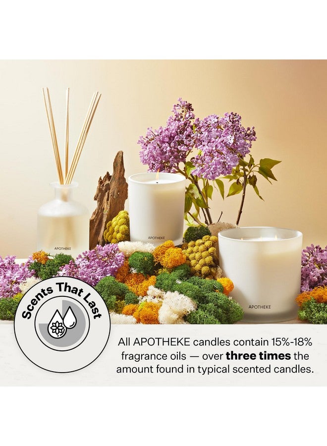 Apotheke Luxury Scented Candles for Home, Sea Salt Grapefruit - Aromatherapy Jar Candle with Soy Wax Blend - Image 4