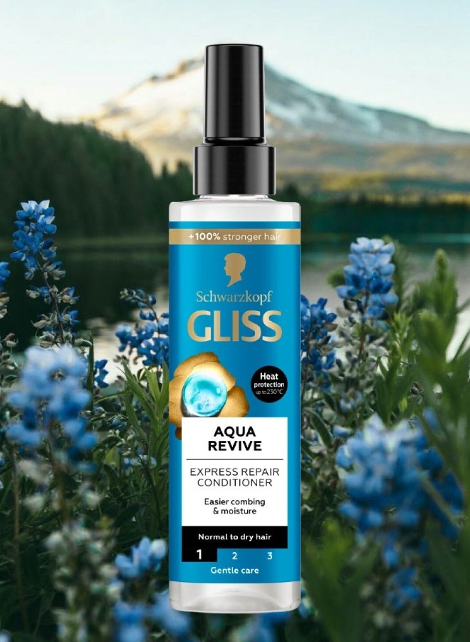 Gliss 10 Pieces Gliss Erc Aqua Revive 200ML - Image 2