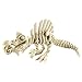 PowerTRC 3D Printed Skeleton Spinosaurus Prehistoric Collectible Articulating Dinosaur 3D Figurine Desk Decoration for Teens and Adults Made in USA - Image 2
