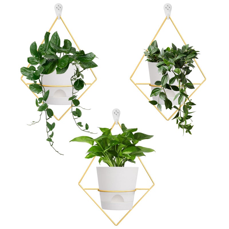 Koalaime 3 Sets Wall Planters for Indoor Plants Geometric Hanging Planters for Indoor Plants  SelfWatering Flower Pots with Black Metal Holder Mounted Succulent Planter 5 Black Plant Pot