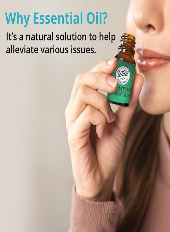 mEssentials Wild Essentials Palo Santo Essential Oil - 10ml, Premium Grade, 100% Pure, Made and Bottled in The USA, Cleansing, Purifying, Relaxing, Smudge Oil - Image 3