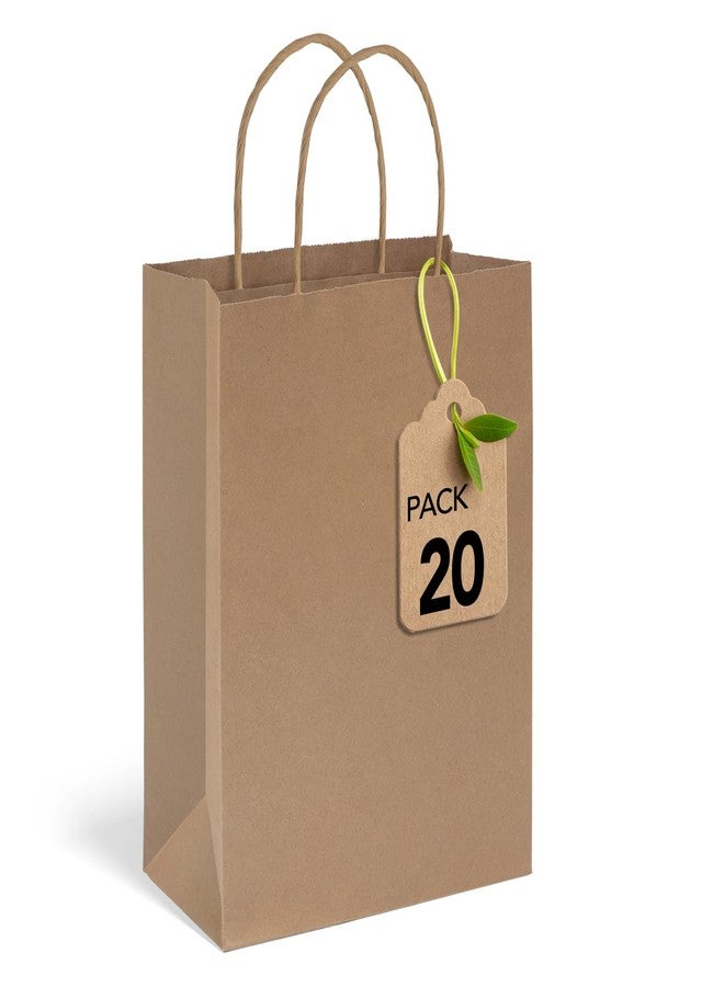 MESHA Brown Paper Bags 5.25x3.75x8 Inch 20 Pack,Reusable Kraft Shopping Bags with Handles for Gifts,Merchandise,Retail,Birthday,Kids Party,Favors,Wedding,Business - Image 1