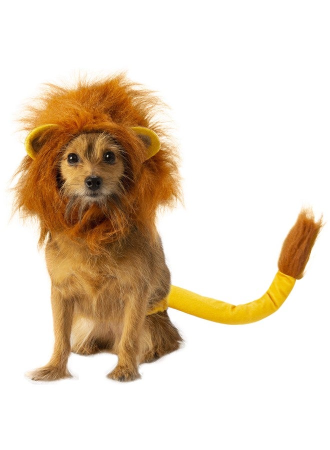 Rubies Rubie's Disney Lion King Pet Costume Accessory Set, Simba, Medium/Large - Image 1