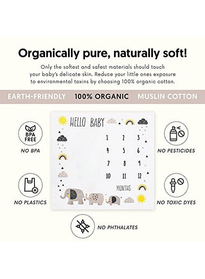 Pondering Pine Organic Baby Monthly Milestone Blanket - Elephant Milestone Blanket Baby Boy Or Girl With Month Marker - Elephants Milestones Blanket, 1-12 Months, Hello Baby, 47" X 47" - Image 3