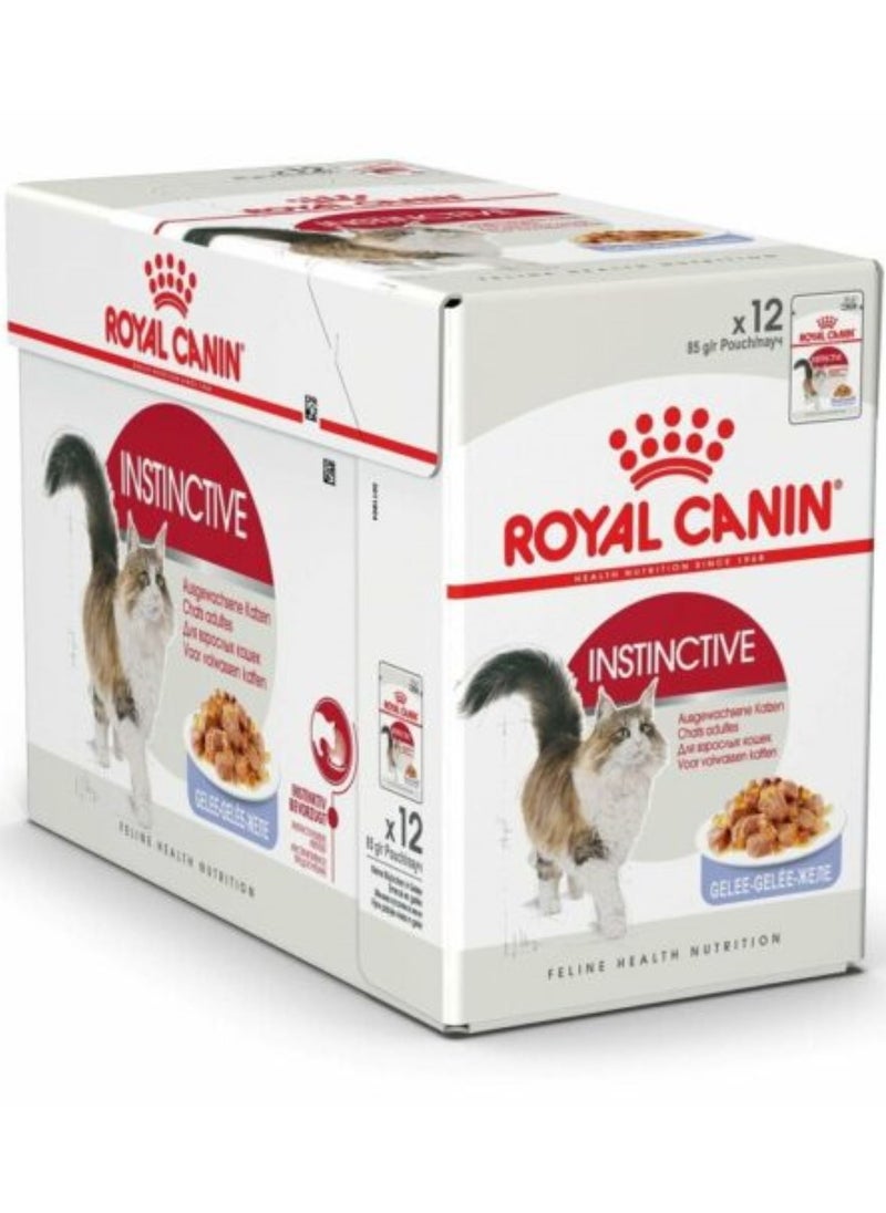 ROYAL CANIN Royal Canin Instinctive in Jelly Cat Wet Food Pouches 12X85g 