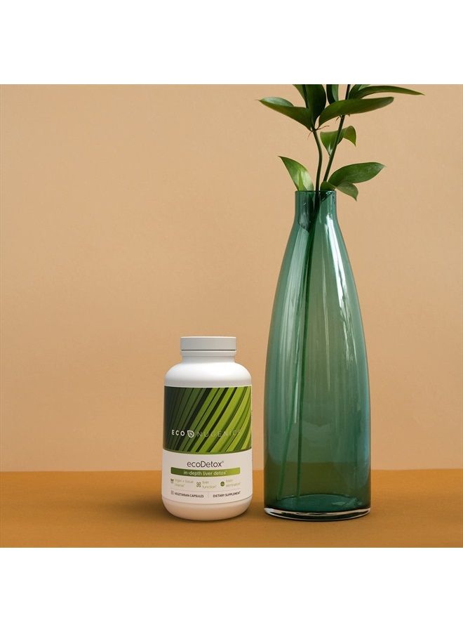 EcoNugenics ecoDetox Supplements to Support Total Body Detox & Cleansing | Enhanced with Botanical Extracts, Antioxidants, Amino Acids, B Vitamins & Nutrients (90 Capsules) - Image 3