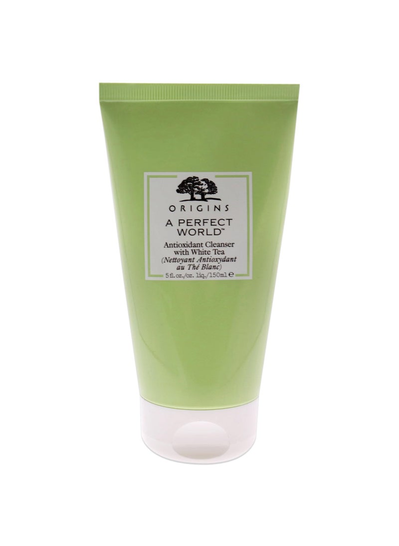 Origins Origins A Perfect World Antioxidant Cleanser with White 5 oz, Tea Tree, 1 Count 